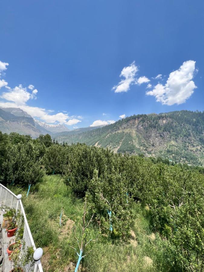Homestay Daddy's Katkuni Homestay Manali (Himachal Pradesh)